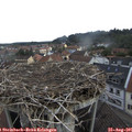 09_05-nest.jpg