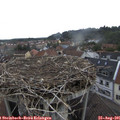 09_10-nest.jpg