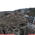 09_15-nest.jpg