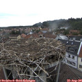 09_25-nest.jpg