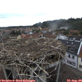 09_30-nest.jpg