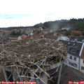 09_35-nest.jpg