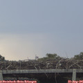 09_40-mast.jpg
