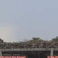09_45-mast.jpg
