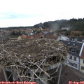 09_45-nest.jpg
