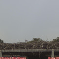 09_50-mast.jpg