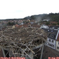 09_55-nest.jpg