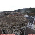 10_00-nest.jpg