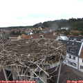 10_10-nest.jpg
