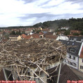 10_15-nest.jpg