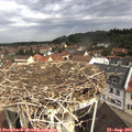 10_20-nest.jpg