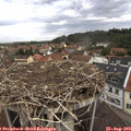 10_25-nest.jpg