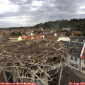 10_30-nest.jpg