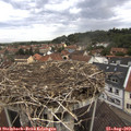 10_35-nest.jpg