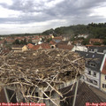 10_40-nest.jpg
