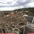 10_45-nest.jpg
