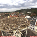 10_55-nest.jpg