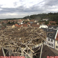 11_00-nest.jpg