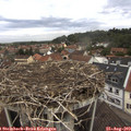 11_05-nest.jpg