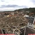 11_10-nest.jpg