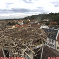 11_15-nest.jpg
