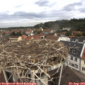11_20-nest.jpg