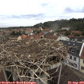 11_25-nest.jpg