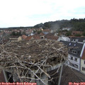 11_35-nest.jpg