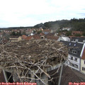 11_45-nest.jpg
