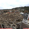 11_50-nest.jpg