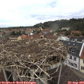 11_55-nest.jpg
