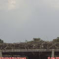 12_00-mast.jpg