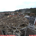 12_05-nest.jpg