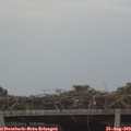 12_10-mast.jpg