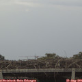 12_15-mast.jpg