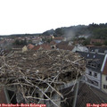 12_20-nest.jpg