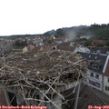 12_25-nest.jpg