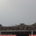 12_30-mast.jpg