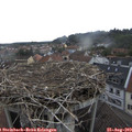 12_30-nest.jpg