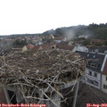 12_35-nest.jpg