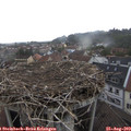 12_40-nest.jpg