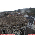 12_45-nest.jpg