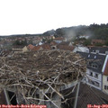 12_55-nest.jpg