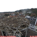 13_05-nest.jpg