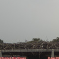 13_15-mast.jpg