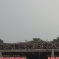 13_20-mast.jpg