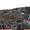 13_20-nest.jpg