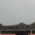 13_25-mast.jpg