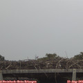 13_30-mast.jpg