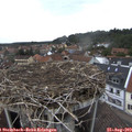 13_30-nest.jpg